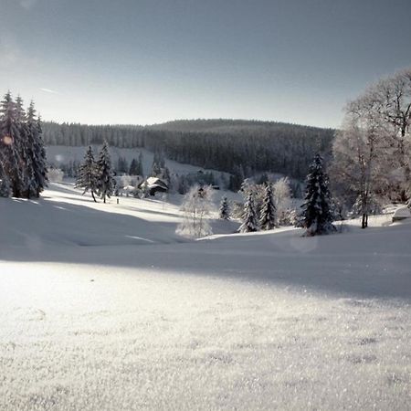 Ferienhotel Muehlleithen Клінґенталь Екстер'єр фото