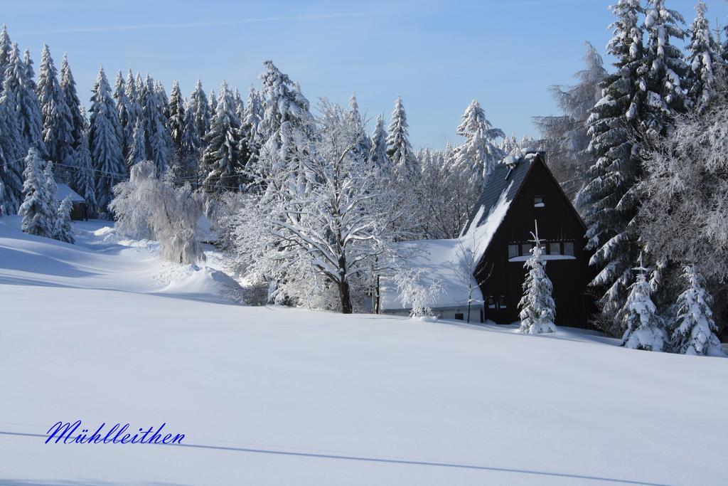 Ferienhotel Muehlleithen Клінґенталь Екстер'єр фото
